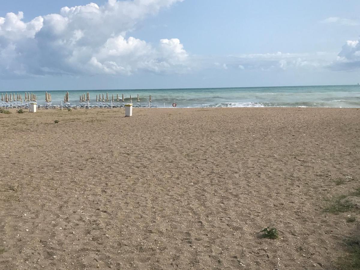 Majson Ej * Civitanova Marche